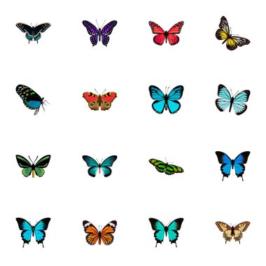 Gerçekçi Amerikan Painted Lady, bakır, yaz böcek ve diğer vektör öğeleri. Güve gerçekçi simgeler kümesi de içerir Hairstreak, mor, Bluewing nesneleri.