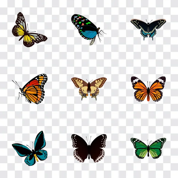 现实的洋腊梅、 夏季昆虫、 老虎燕尾和其他向量元素。蝴蝶现实符号集还包括棕色、 绿色、 燕尾对象. — 图库矢量图片