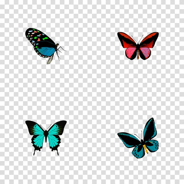 Realistiska Callicore Cynosura, Demophoon, koppar och andra Vector-element. Butterfly realistiska symboler ingår även Cynosura, Hairstreak, röda objekt. — Stock vektor