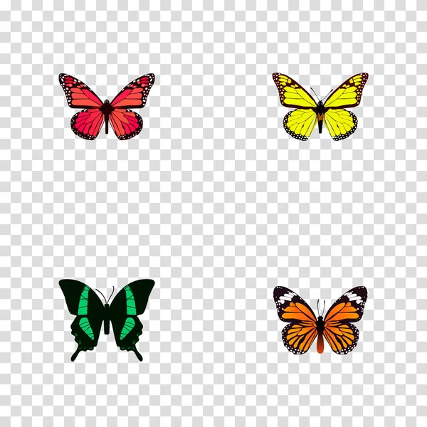 Realista Azure Peacock, Monarca, Beauty Fly e outros elementos vetoriais. Conjunto de símbolos realistas de borboleta também inclui objetos tropicais, laranja, borboleta . — Vetor de Stock