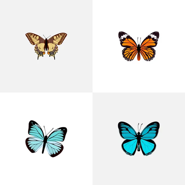 Realistiska Tiger Swallowtail, monark, Lexias och andra Vector-element. Uppsättning av Moth realistiska symboler ingår även Orange, Tiger, Swallowtail objekt. — Stock vektor