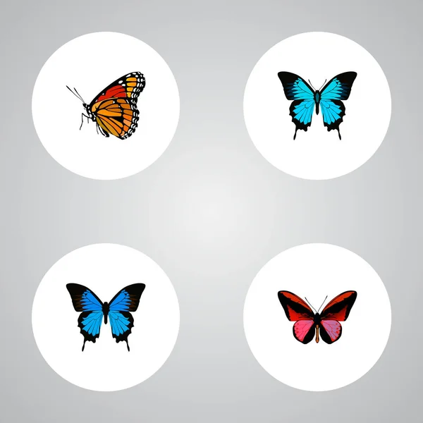 Realistische Papilio Ulysses, Milchkraut, gemeines Blau und andere Vektorelemente. Set von realistischen Schönheitssymbolen enthält auch rote, zynische, bläuliche Objekte. — Stockvektor