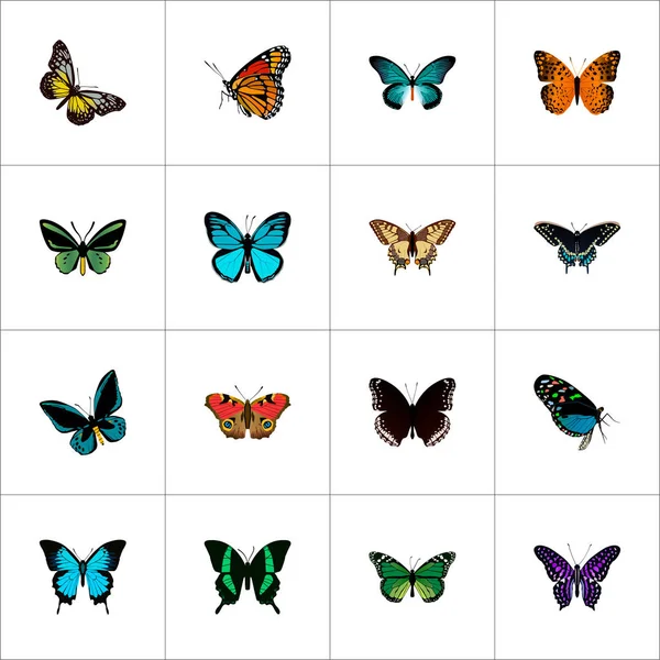 Realista Tiger Swallowtail, Beauty Fly, Danaus Plexippus y otros elementos vectoriales. Conjunto de Símbolos Realistas Polilla También Incluye Verde, Mariposa, Objetos Violeta . — Vector de stock