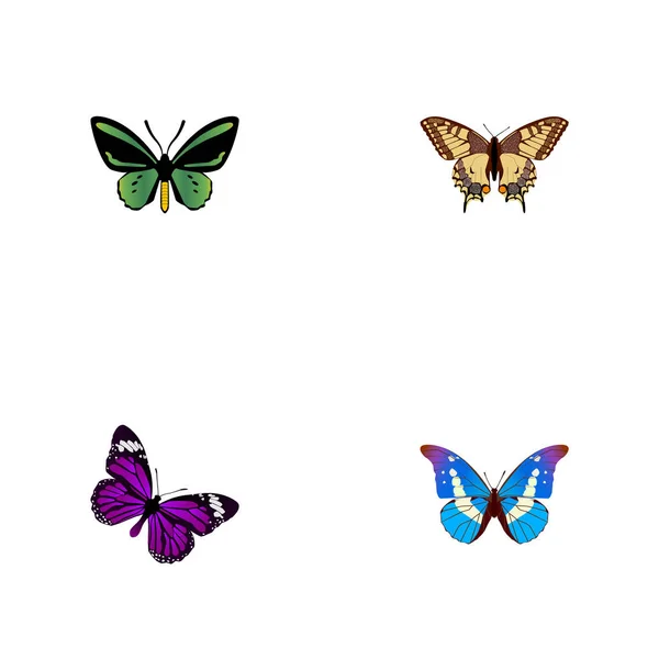 Mariposa realista, Bluewing, cola de golondrina de tigre y otros elementos vectoriales. El sistema de símbolos realistas de la mariposa también incluye Bluewing, azul, objetos púrpura . — Vector de stock