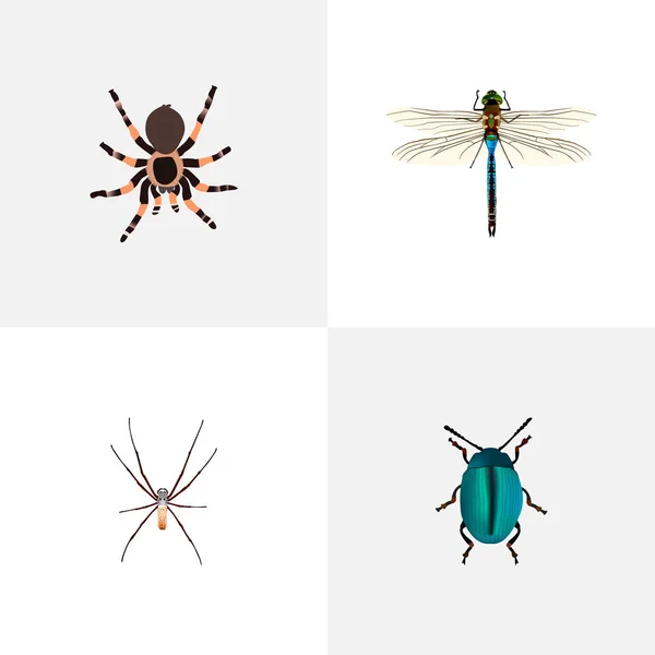 Realistische Tarantula, Bug, Juffers en andere vectorelementen. Set van Hexapod realistische symbolen bevat ook insect, Insect, Arachnid objecten. — Stockvector
