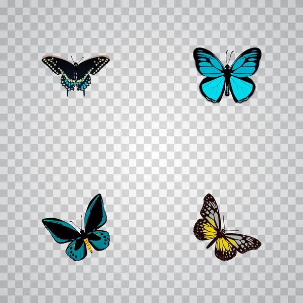 Realistische Sommer Insekt, Himmelstier, Demophoon und andere Vektorelemente. Set von schönen realistischen Symbolen umfasst auch blau, fliegen, Himmel Objekte. — Stockvektor
