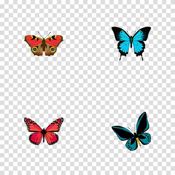 Realistisch amerikanisch gemalte Dame, Papilio Ulysses, Demophoon und andere Vektorelemente. Set von Schmetterling realistischen Symbolen enthält auch Schmetterling, rosa, bläuliche Objekte. — Stockvektor