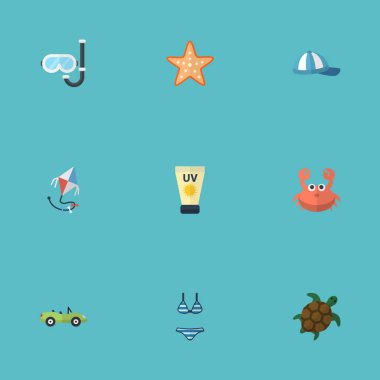 Kanser, sinek, kaplumbağa ve diğer vektör öğeleri düz. Ayrıca kapağı, hayvan, deniz nesneleri içeren küme Beach düz sembolleri.
