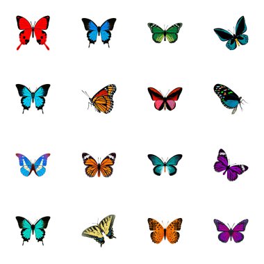 Gerçekçi Papilio Ulysses, Hairstreak, Demophoon ve diğer vektör öğeleri. Kelebek gerçekçi simgeler kümesi de sinek, portakal, Morfo nesneleri içerir.