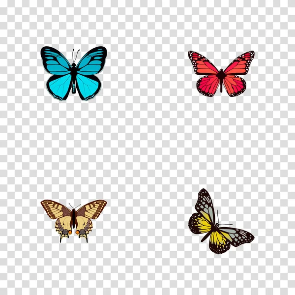 Realistiska Azure Peacock, Tiger Swallowtail, Sky djuret och andra Vector-element. Uppsättning av Moth realistiska symboler ingår även Swallowtail, påfågel, Tiger objekt. — Stock vektor