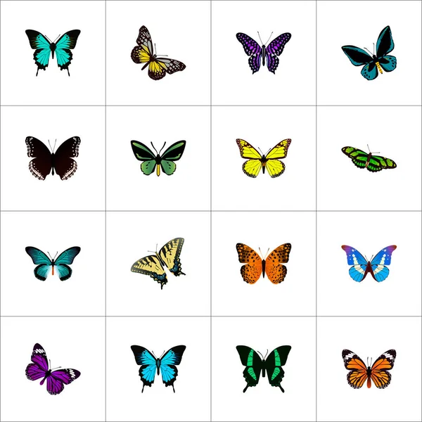 Realistiska Checkerspot, Archippus, koppar och andra Vector-element. Butterfly realistiska symboler ingår även fluga, monark, blåvinge objekt. — Stock vektor