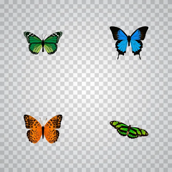 Azul Común realista, pavo real verde, Danaus Plexippus y otros elementos vectoriales. Conjunto de Símbolos Realistas de Mariposa También Incluye Objetos Verdes, Volar, Afganis . — Vector de stock