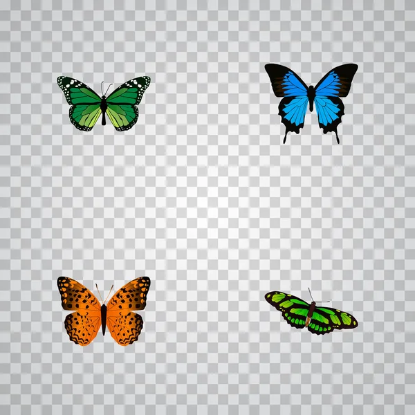 Realistische gemeenschappelijke blauw, groen Peacock, Danaos Plexippus en andere vectorelementen. Set van Butterfly realistische symbolen bevat ook groen, Fly, Cypris-objecten. — Stockvector