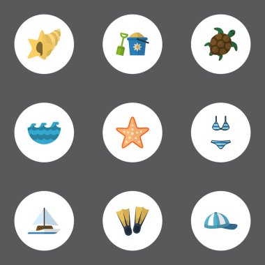 Düz deniz, deniz yıldızı, yüzme ve diğer vektör öğeleri. Güneş ışığı düz simgeler kümesi de içerir lavabo, iç çamaşırı, yat nesneleri.