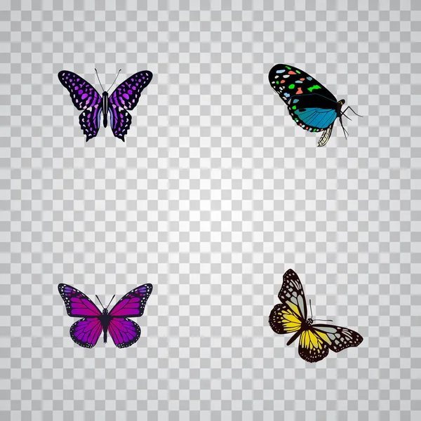 Hairstreak realista, Monarca roxo, Inseto de verão e outros elementos vetoriais. Conjunto de símbolos realistas bonitos também inclui beleza, roxo, objetos azuis . — Vetor de Stock