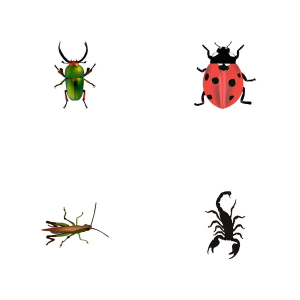 Realistische Marienkäfer, Insekten, giftige und andere Vektorelemente. Eine Reihe tierischer realistischer Symbole umfasst auch Marienkäfer, Heuschrecken, Insektenobjekte. — Stockvektor