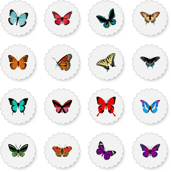 Realistic Butterfly, Milkweed, Copper And Other Vector Elements. Set Of Butterfly Realistic Symbols Also Includes Orange, Purple, Fly Objects. — Stock Vector