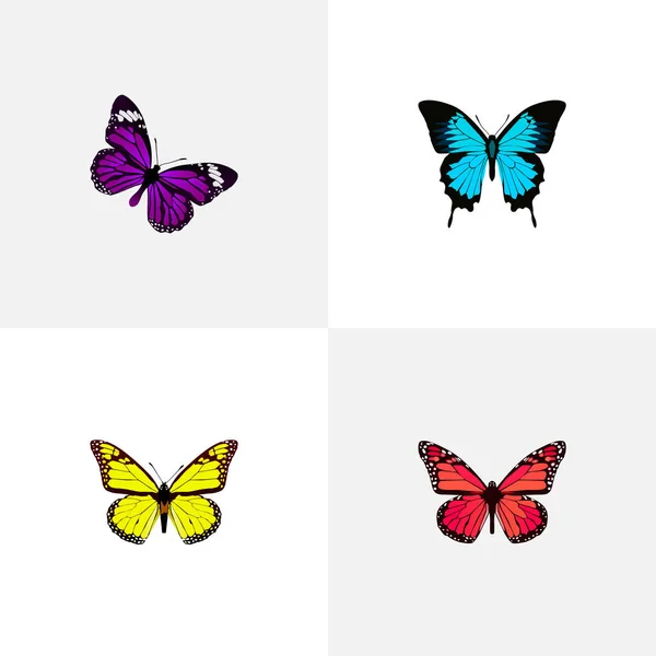 Realista azul pavo real, archipo, mariposa y otros elementos vectoriales. Set de Símbolos Realistas de Polilla También Incluye Monarca, Amarillo, Hermosos Objetos . — Vector de stock