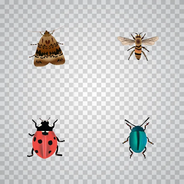 Realistische Bug, Wisp, Marienkäfer und andere Vektorelemente. Satz von Bug realistischen Symbolen enthält auch Wespe, Stubenfliege, dor Objekte. — Stockvektor
