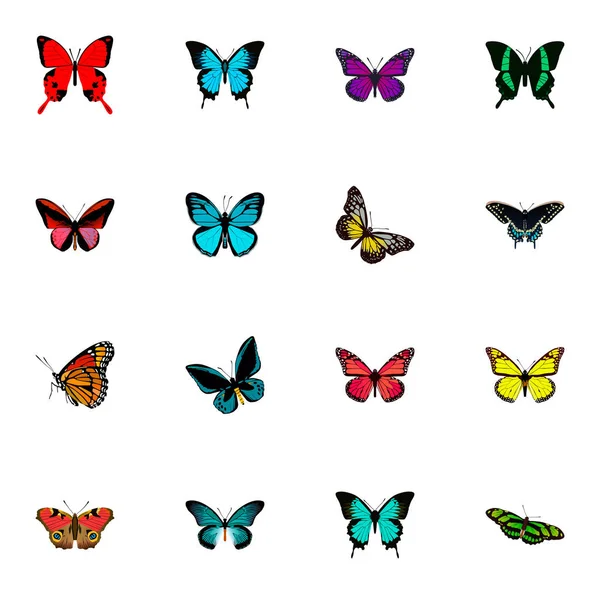 Realistic Copper, Summer Insect, Purple Monarch And Other Vector Elements. Set Of Moth Realistic Symbols Also Includes Bluewing, Sky, Yellow Objects. — Stock Vector