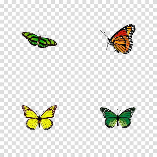 现实的基布、 绿孔雀、 凤蝶和其他向量元素。蛾现实符号集还包括布朗、 蝴蝶、 君主对象. — 图库矢量图片