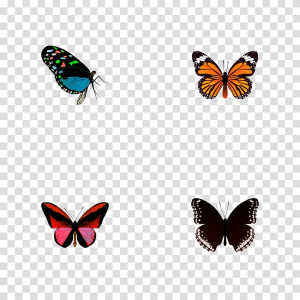Callicore Cynosura yang realistis, Monarch, Hairstreak and Other Vector Elements. Set Of Beauty Simbol realistis Juga termasuk Hitam, Monarch, Butterfly Objects . - Stok Vektor