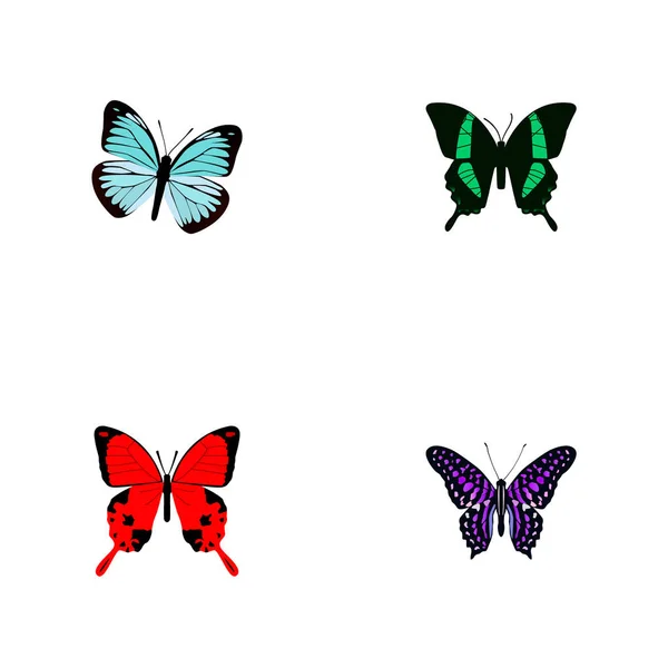Realistic Lexias, Beauty Fly, Polyommatus Icarus And Other Vector Elements. Set Of Moth Realistic Symbols Also Includes Julia, Fly, Sky Objects. — Stock Vector