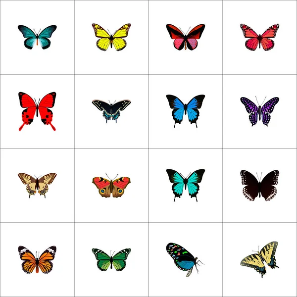 Realistic American Painted Lady, Spicebush, Checkerspot y otros elementos vectoriales. Set de Símbolos Realistas de Polilla También Incluye Naranja, Azul, Objetos de Pavo Real . — Vector de stock