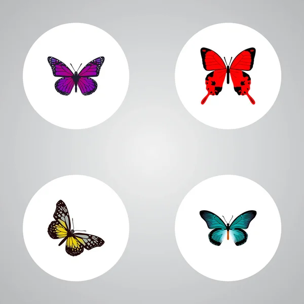 Realistic Pipevine, Summer Insect, Sangaris and Other Vector Elements (en inglés). El sistema de símbolos realistas de la mariposa también incluye belleza, azul, objetos de la mariposa . — Vector de stock