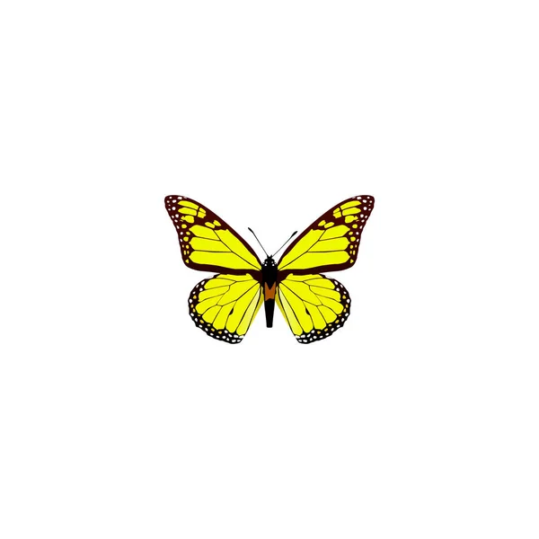Реалистичный Yello-Wing Элемент. Векторная иллюстрация реалистичного архиппа, изолированного на чистом фоне. Can be used as Yellow, Butterfly And Monarch Symbols . — стоковый вектор