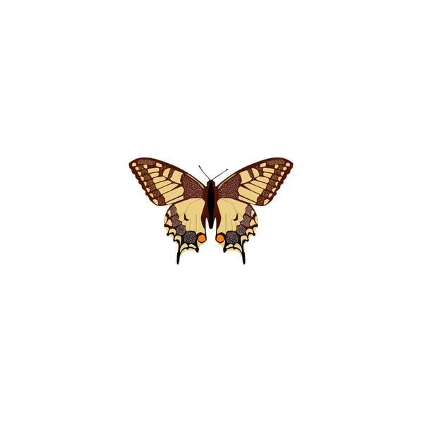 Realistiska Checkerspot Element. Vektorillustration av realistiska Tiger Swallowtail isolerade på ren bakgrund. Kan användas som Tiger, Swallowtail och Butterfly symboler. — Stock vektor