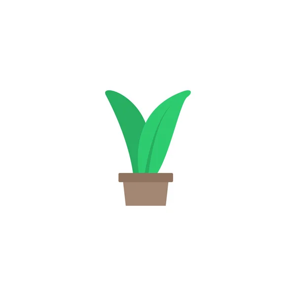 Flaches Krautelement. Vektorillustration der flachen Pflanze isoliert auf sauberem Hintergrund. kann als Kräuter-, Pflanzen- und Anbausymbole verwendet werden. — Stockvektor