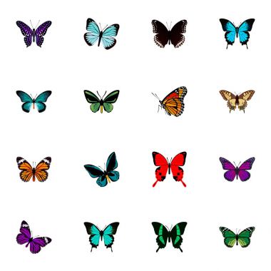 Gerçekçi Demophoon, Spicebush, Sangaris ve diğer vektör öğeleri. Kelebek gerçekçi simgeler kümesi de içerir Hairstreak, Brown, kaplan nesneleri.