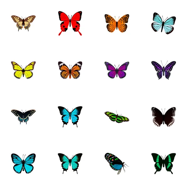 Realistic Archippus, Tiger Swallowtail, Sky Animal y otros elementos vectoriales. Conjunto de hermosos símbolos realistas también incluye monarca, rayas de pelo, objetos de polilla . — Vector de stock