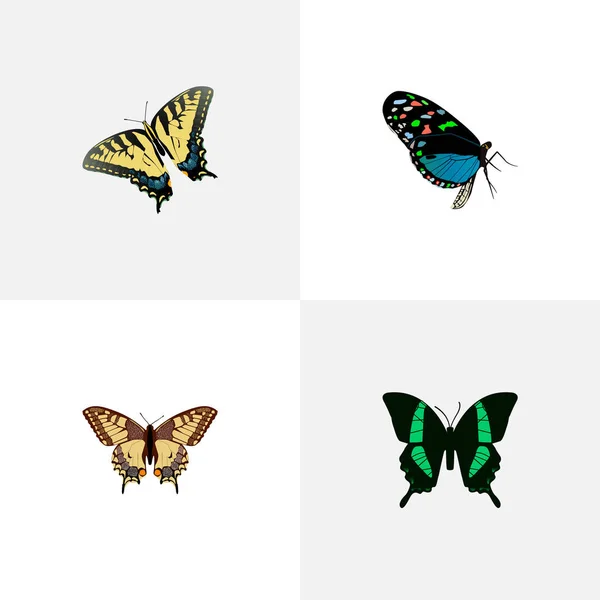 Realistiska Tiger Swallowtail, Checkerspot, skönhet fluga och andra Vector-element. Butterfly realistiska symboler ingår även blå, Swallowtail, fjäril objekt. — Stock vektor