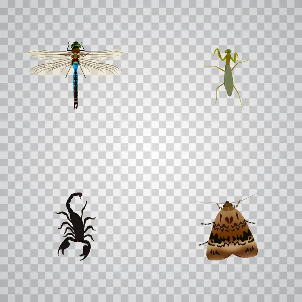 Realistische Schmetterling, Heuschrecke, Libelle und andere Vektorelemente. Set von Tier realistischen Symbolen enthält auch Schmetterling, giftige, fliegen Objekte. — Stockvektor