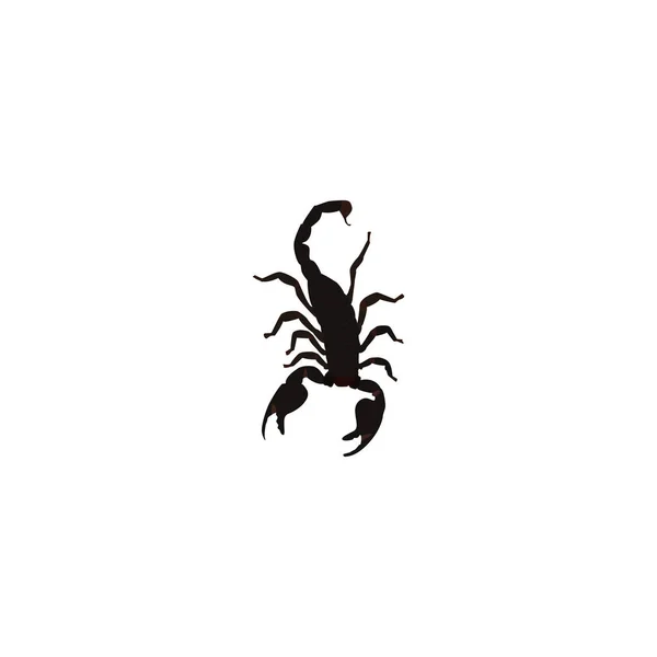 Realistyczne Scorpion Element. Wektor ilustracja realistycznych trujące czystego tła. Mogą być używane jako Scorpion, owadów i trujące symboli. — Wektor stockowy