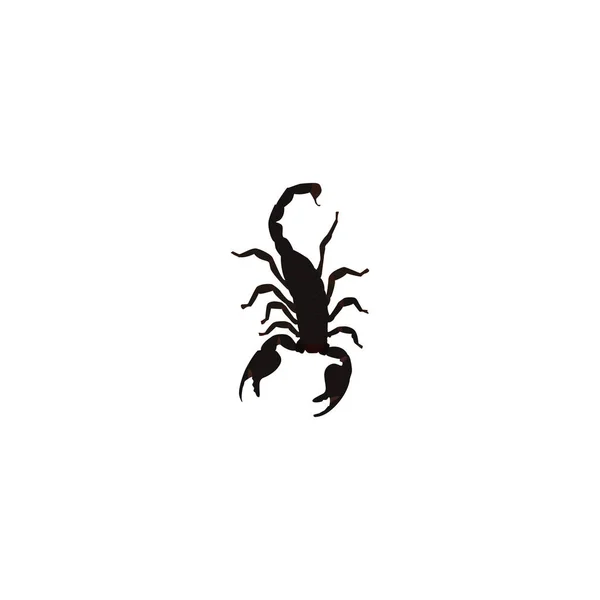 21 Scorpio Tattoo Ideas for the Most Intense Zodiac Sign of Them All | Scorpio  tattoo, Horoscope tattoos, Tattoos