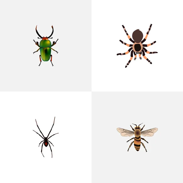 Realistische Weisheiten, Spinner, Insekten und andere Vektorelemente. Eine Reihe tierischer realistischer Symbole umfasst auch Stubenfliege, grüne, kluge Objekte. — Stockvektor