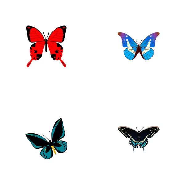 현실적인 Demophoon, Bluewing, Sangaris 및 다른 벡터 요소. 아름 다운 현실 상징의 세트는 또한 줄리아, 빨강, 나비의 개체 포함. — 스톡 벡터