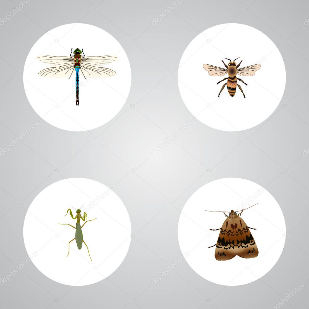 Realistic Damselfly, Wisp, Butterfly And Other Vector Elements. Set Of Animal Realistic Symbols Also Includes Mantis, Insect, Housefly Objects.