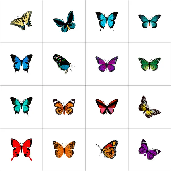 Realistic Danaus Plexippus, Copper, Purple Monarch And Other Vector Elements. Set Of Beautiful Realistic Symbols Also Includes Yellow, Julia, Sky Objects. — Stock Vector