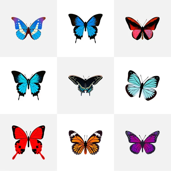 Callicore réaliste Cynosura, Bluewing, Monarch et autres éléments vectoriels. Ensemble de symboles réalistes de beauté comprend également Julia, Violet, objets Cypris . — Image vectorielle