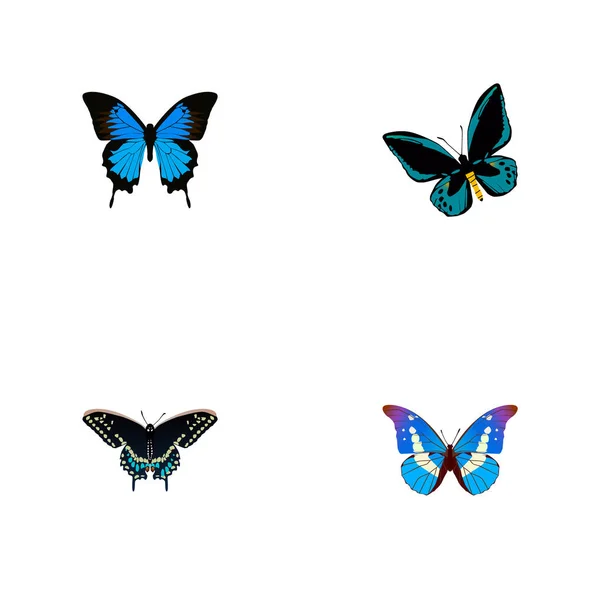 Morpho Hecuba yang realistis, Demophoon, Bluewing And Other Vector Elements. Set Of Butterfly Simbol Realistik Juga termasuk Morpho, Moth, Blue Objects . - Stok Vektor