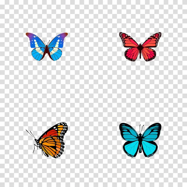 Bluewing realista, Sky Animal, Milkweed y otros elementos vectoriales. Conjunto de símbolos realistas de mariposa también incluye rosa, pavo real, objetos azules . — Archivo Imágenes Vectoriales