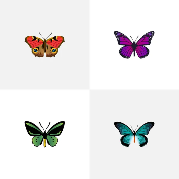 Realistiska tropiska fjärilar, Pipevine, amerikansk Painted Lady och andra Vector-element. Uppsättning av skönhet realistiska symboler ingår även blå, fjäril, blåvinge objekt. — Stock vektor