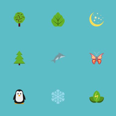 Düz simgeler yeşillik, güzellik böcek, oynak balık ve diğer vektör öğeleri. Ayrıca kış, güç, gece nesneleri içeren küme doğa düz simgeleri simgeleri.