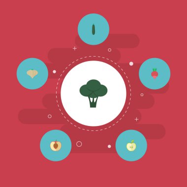 Düz simgeler salata, lahana, sarımsak ve diğer vektör öğeleri. Düz simgeler simge kümesi de içerir brokoli, turp, salatalık nesneleri.