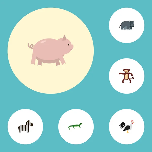 Icônes plates Reptile, Coq, Hippopotame et autres éléments vectoriels. Ensemble de symboles vivants d'icônes plates comprend également l'oiseau, Hippopotame, objets de coq . — Image vectorielle