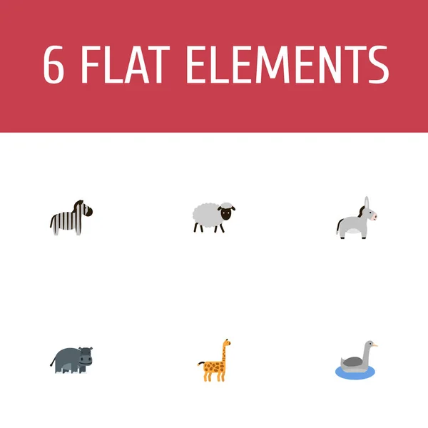 Icônes plates Jackass, Mutton, Waterbird et autres éléments vectoriels. Ensemble de symboles d'icônes plates de zoologie comprend également des animaux, des mérinos, des objets Camelopard . — Image vectorielle